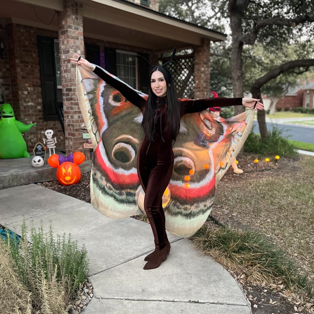Moth Costume